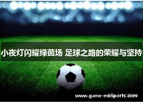小夜灯闪耀绿茵场 足球之路的荣耀与坚持